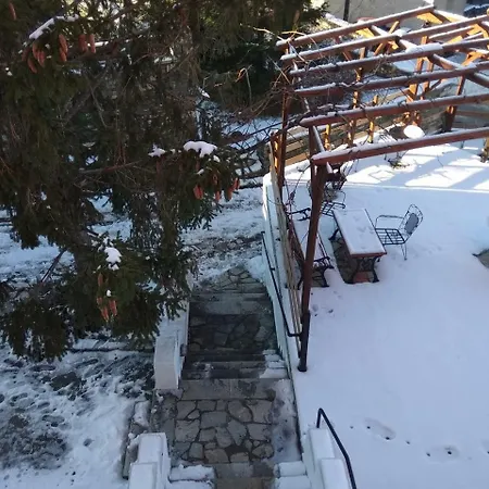 κάραβος Πορταριά