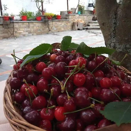 κάραβος Ξενοδοχείο